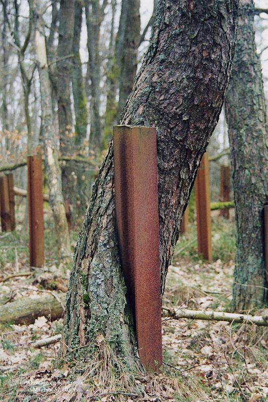 Rail & arbre 02.jpg